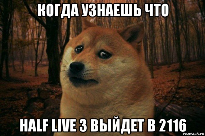 когда узнаешь что half live 3 выйдет в 2116, Мем SAD DOGE