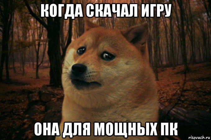 когда скачал игру она для мощных пк, Мем SAD DOGE