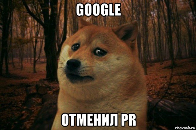 google отменил pr, Мем SAD DOGE