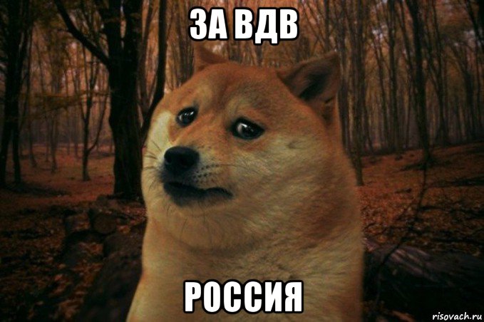 за вдв россия, Мем SAD DOGE