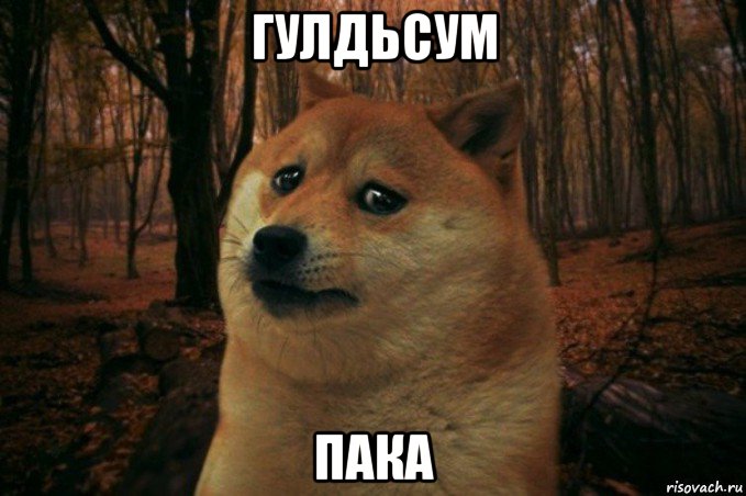 гулдьсум пака, Мем SAD DOGE