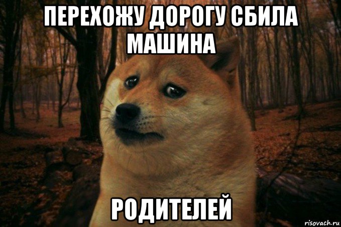 перехожу дорогу сбила машина родителей, Мем SAD DOGE