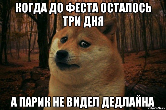 когда до феста осталось три дня а парик не видел дедлайна, Мем SAD DOGE