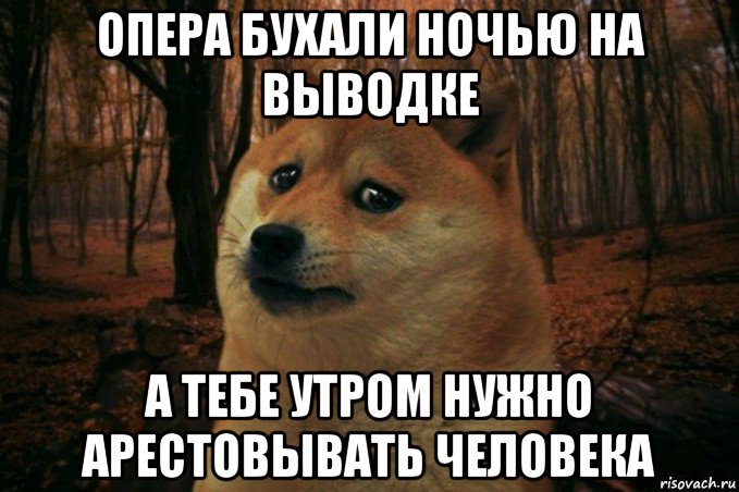 опера бухали ночью на выводке а тебе утром нужно арестовывать человека, Мем SAD DOGE