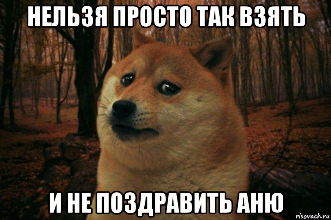 нельзя просто так взять и не поздравить аню, Мем SAD DOGE