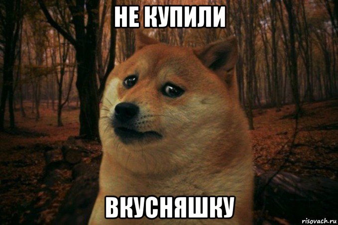 не купили вкусняшку, Мем SAD DOGE