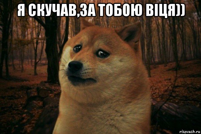 я скучав,за тобою віця)) , Мем SAD DOGE