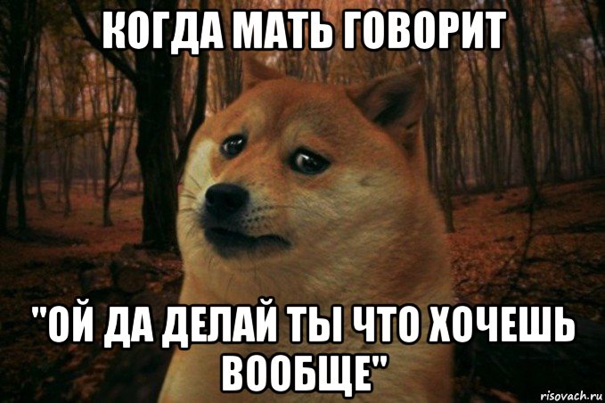 когда мать говорит "ой да делай ты что хочешь вообще", Мем SAD DOGE