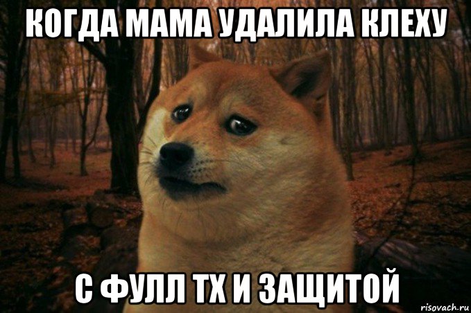 когда мама удалила клеху с фулл тх и защитой, Мем SAD DOGE