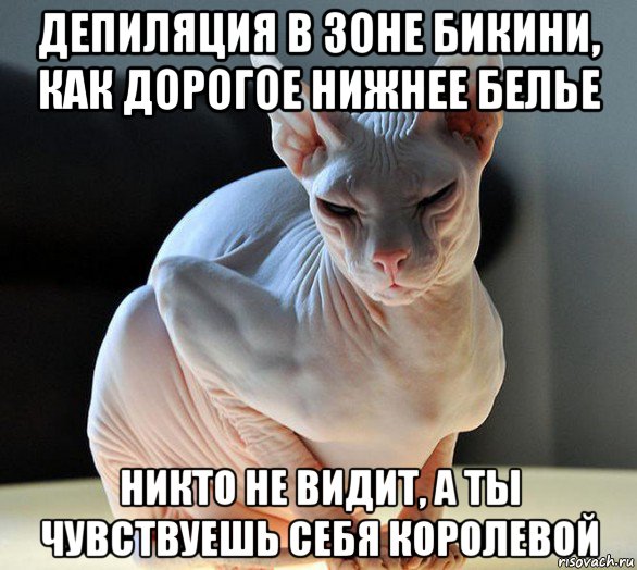 депиляция в зоне бикини, как дорогое нижнее белье никто не видит, а ты чувствуешь себя королевой