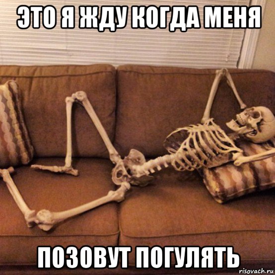 это я жду когда меня позовут погулять