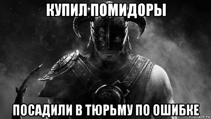 купил помидоры посадили в тюрьму по ошибке, Мем Skyrim