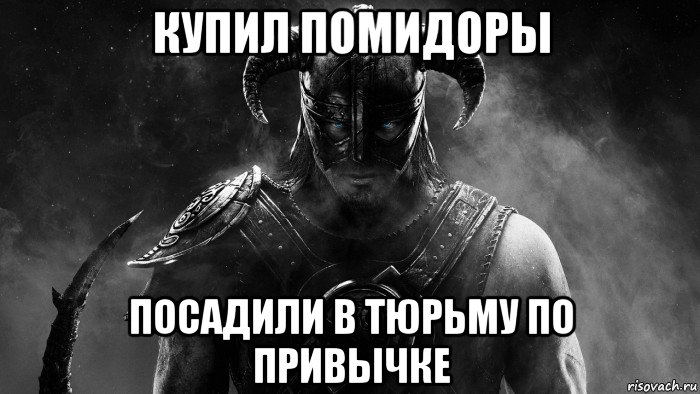 купил помидоры посадили в тюрьму по привычке, Мем Skyrim