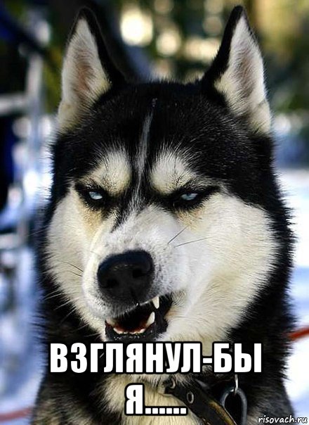  взглянул-бы я......
