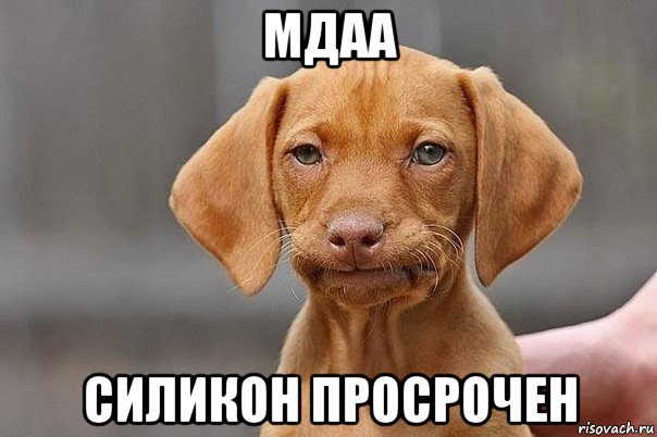 мдаа силикон просрочен