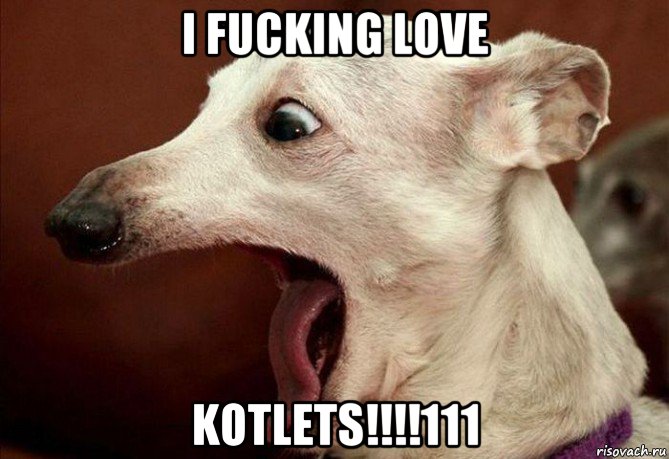 i fucking love kotlets!!!!111