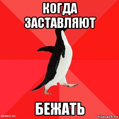 когда заставляют бежать, Мем  социально-агрессивный пингвин