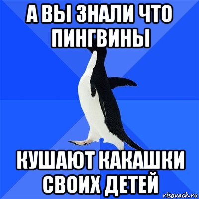 а вы знали что пингвины кушают какашки своих детей, Мем  Социально-неуклюжий пингвин