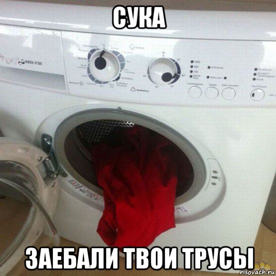 сука заебали твои трусы