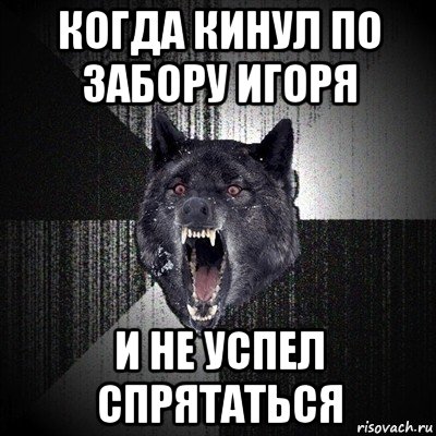 когда кинул по забору игоря и не успел спрятаться, Мем Сумасшедший волк