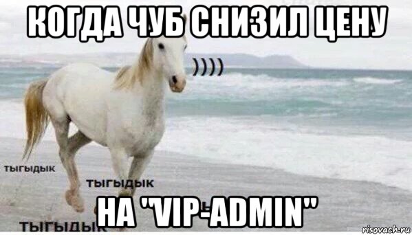 когда чуб снизил цену на "vip-admin", Мем   Тыгыдык