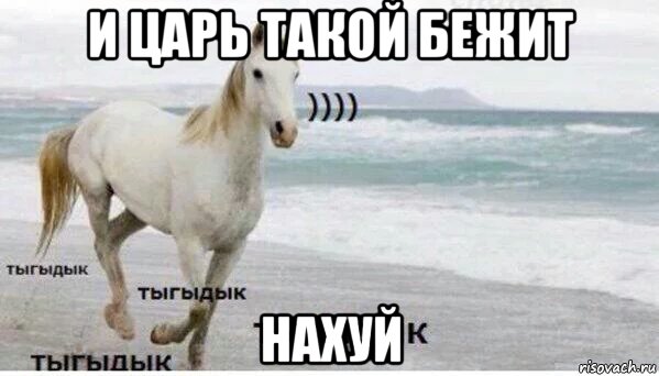 и царь такой бежит нахуй, Мем   Тыгыдык