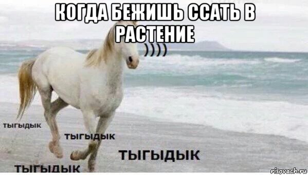 когда бежишь ссать в растение , Мем   Тыгыдык