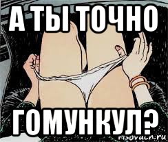 а ты точно гомункул?