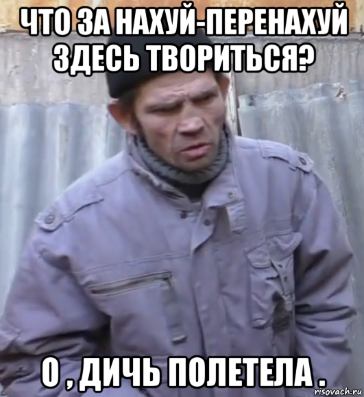 что за нахуй-перенахуй здесь твориться? о , дичь полетела ., Мем  Ты втираешь мне какую то дичь