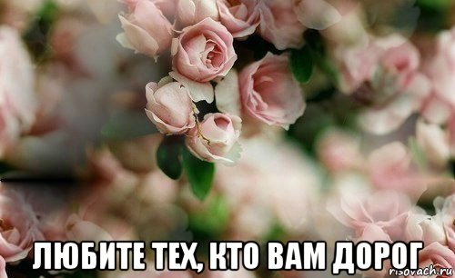  любите тех, кто вам дорог
