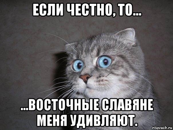 если честно, то... ...восточные славяне меня удивляют., Мем  удивлённый кот