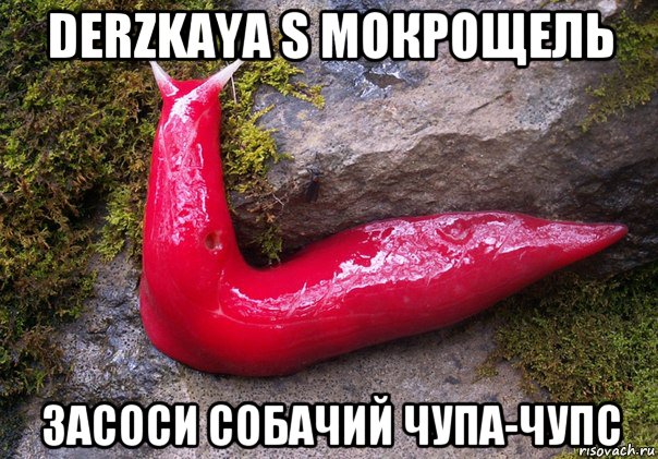 derzkaya s мокрощель засоси собачий чупа-чупс
