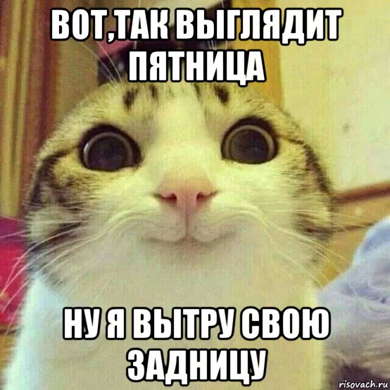 вот,так выглядит пятница ну я вытру свою задницу