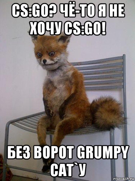 cs:go? чё-то я не хочу cs:go! без ворот grumpy cat`у, Мем Упоротая лиса