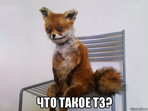  что такое тз?, Мем Упоротый лис