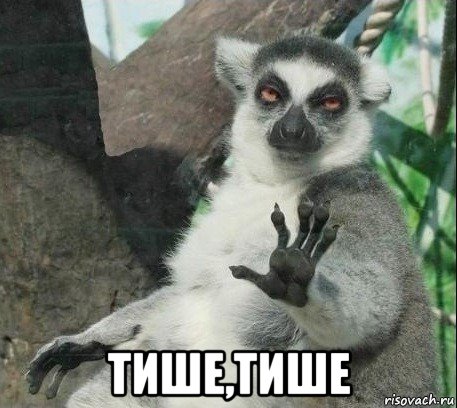 тише,тише