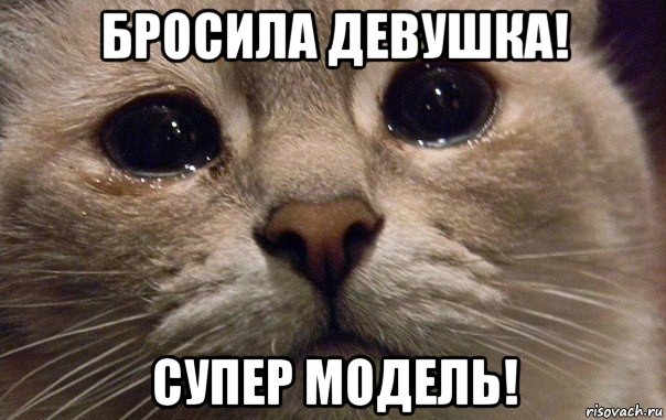 бросила девушка! супер модель!, Мем   В мире грустит один котик