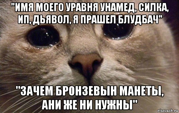 "имя моего уравня унамед, силка, ип, дьявол, я прашел блудбач" "зачем бронзевын манеты, ани же ни нужны", Мем   В мире грустит один котик