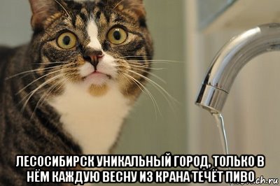  лесосибирск уникальный город, только в нём каждую весну из крана течёт пиво, Мем вода с крана