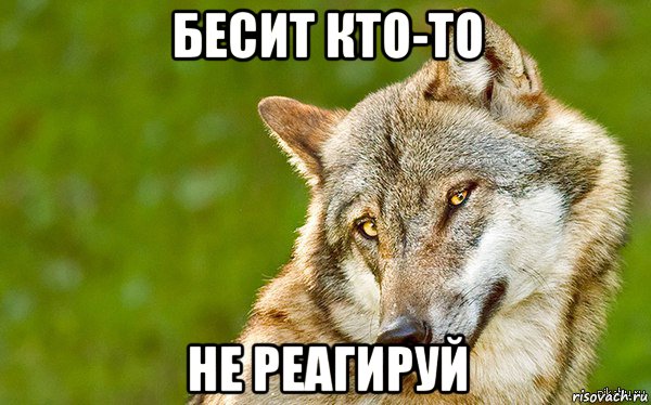 бесит кто-то не реагируй, Мем   Volf