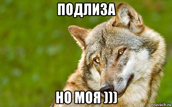 подлиза но моя ))), Мем   Volf