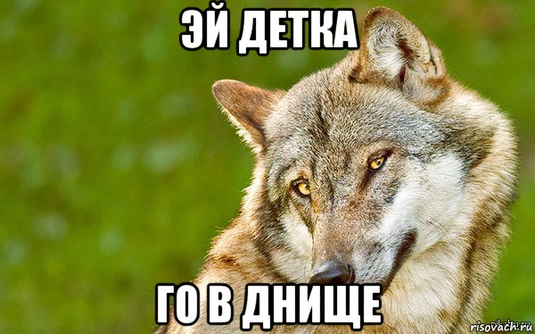 эй детка го в днище, Мем   Volf