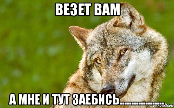 везет вам а мне и тут заебись..................., Мем   Volf