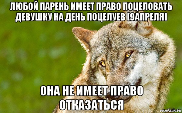 любой парень имеет право поцеловать девушку на день поцелуев [9апреля] она не имеет право отказаться, Мем   Volf