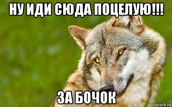 ну иди сюда поцелую!!! за бочок, Мем   Volf