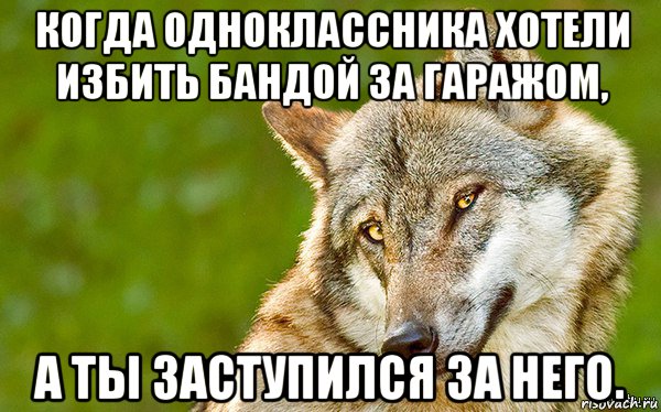 когда одноклассника хотели избить бандой за гаражом, а ты заступился за него., Мем   Volf