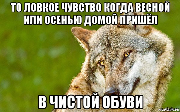 то ловкое чувство когда весной или осенью домой пришёл в чистой обуви, Мем   Volf