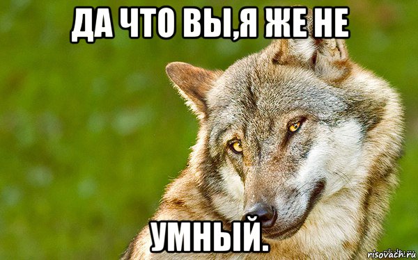 да что вы,я же не умный., Мем   Volf