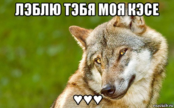 лэблю тэбя моя кэсе ♥♥♥, Мем   Volf