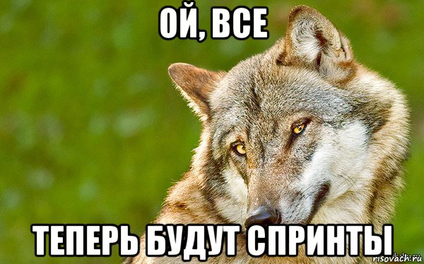 ой, все теперь будут спринты, Мем   Volf